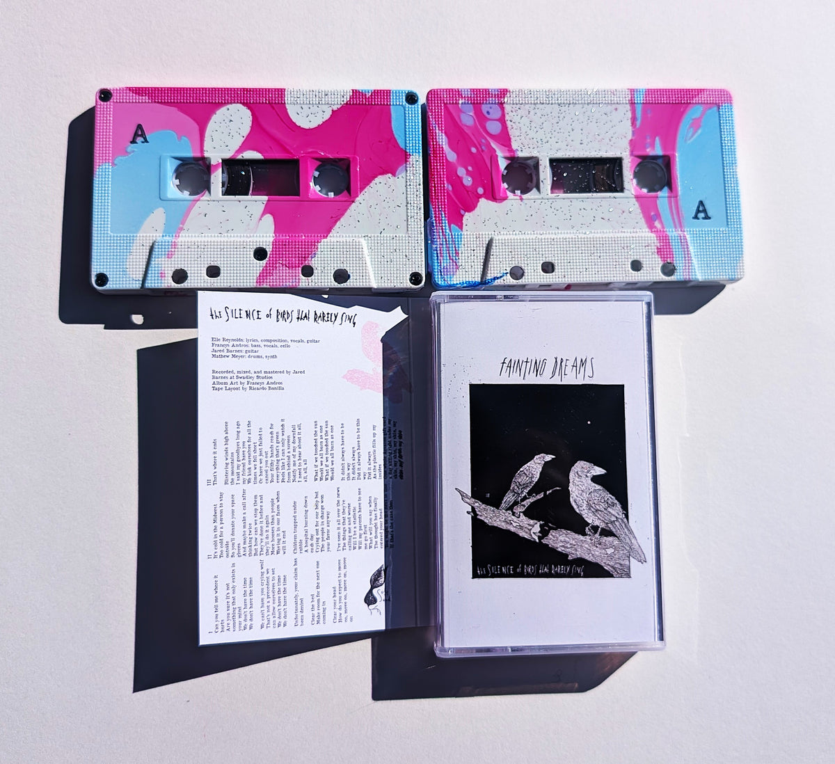 FAINTING DREAMS - The Silence of Birds That Rarely Sing (cassette
