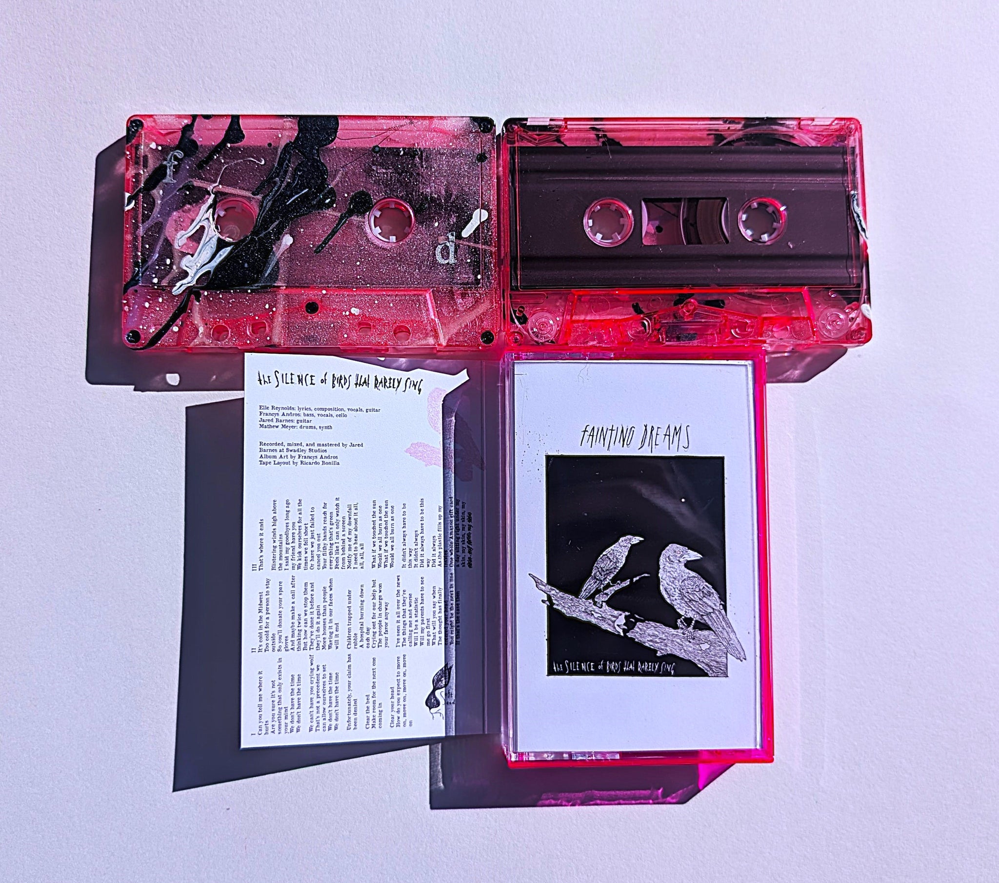 FAINTING DREAMS - The Silence of Birds That Rarely Sing (cassette