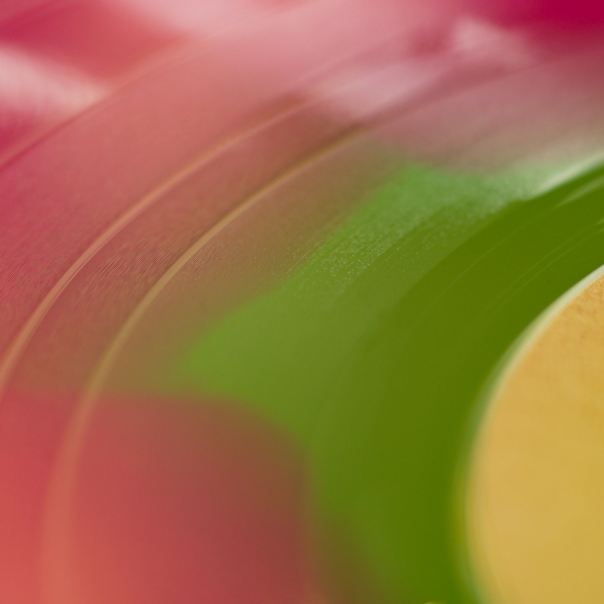 ADOBE HOMES - Años (12")