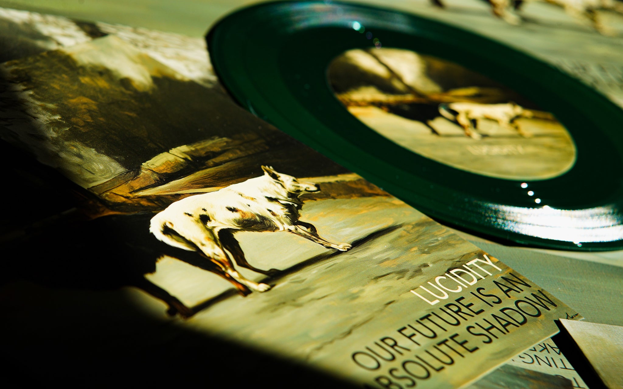 LUCIDITY x OUR FUTURE IS AN ABSOLUTE SHADOW - Split (7")
