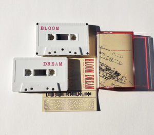 BLOOM DREAM - It Didn't Have To Be This Way (cd/cassette)