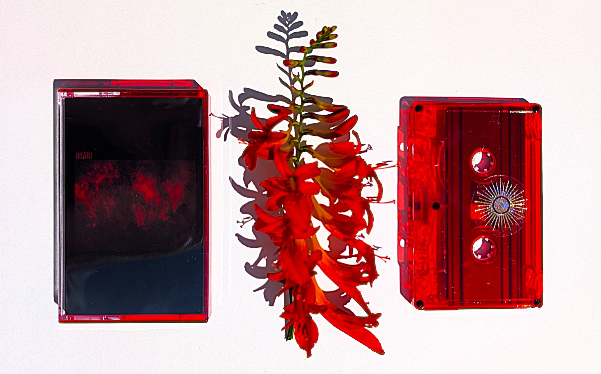 HOARI - Hoari (cassette)