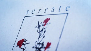 SERRATE - even the wind sounds dead (12")