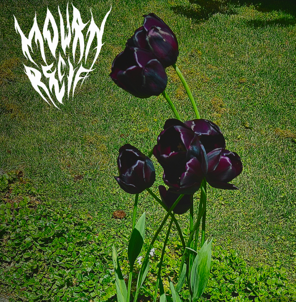 MOURN RECIF - Mourn Recif (cassette)