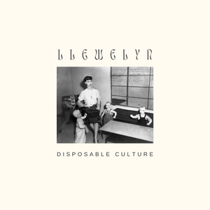 LLEWELYN - Disposable Culture (cassette)