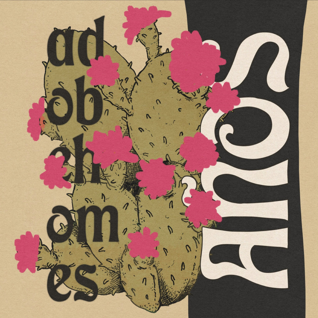 ADOBE HOMES - Años (12")