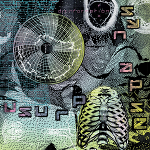 USURP SYNAPSE - Disinformation Fix (2x12") PRE-ORDER