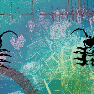 USURP SYNAPSE - Disinformation Fix (2x12") PRE-ORDER