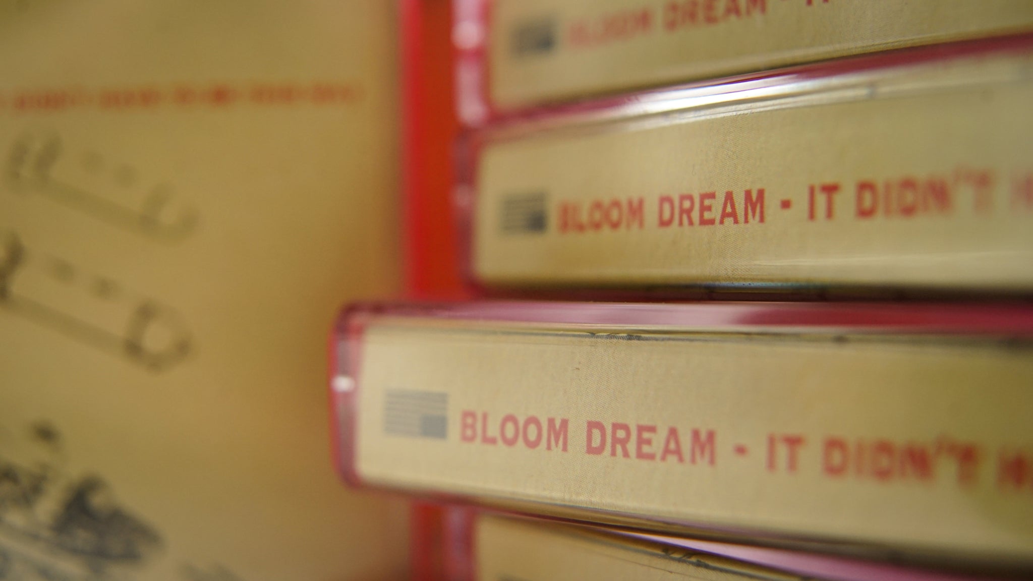 BLOOM DREAM - It Didn't Have To Be This Way (cd)