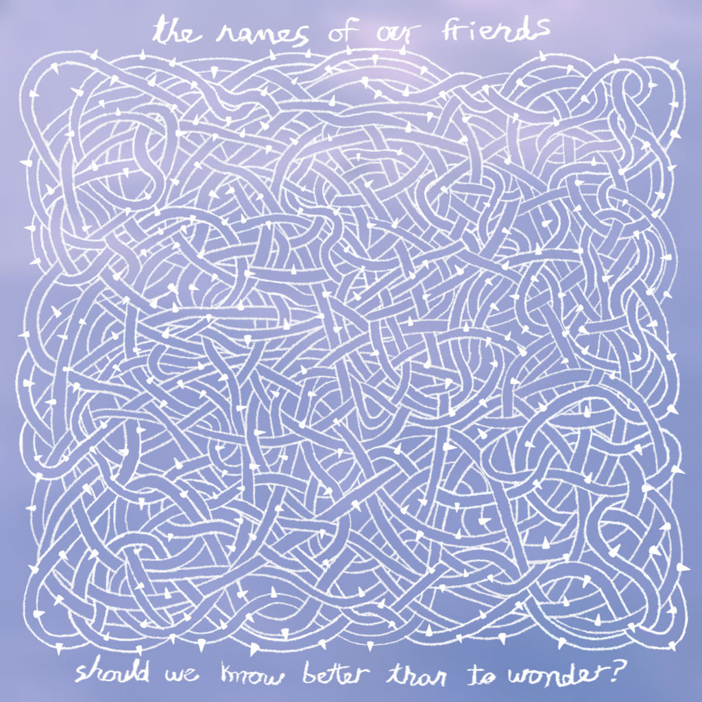 THE NAMES OF OUR FRIENDS - Should We Know Better Than to Wonder? (10")