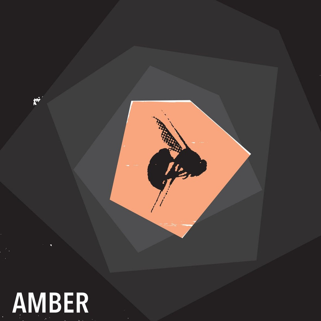 Amber - Self Titled (12")