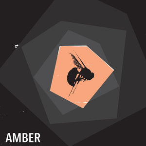 Amber - Self Titled (12")