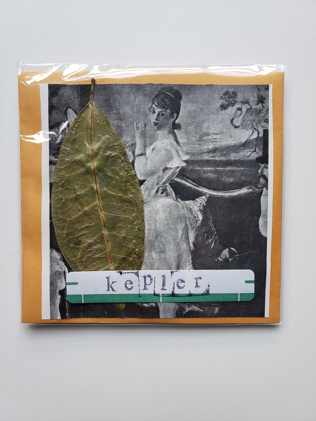 KEPLER - If You See Our Friend, Tell Her We Miss Her (3.5" floppy disk + cdr)
