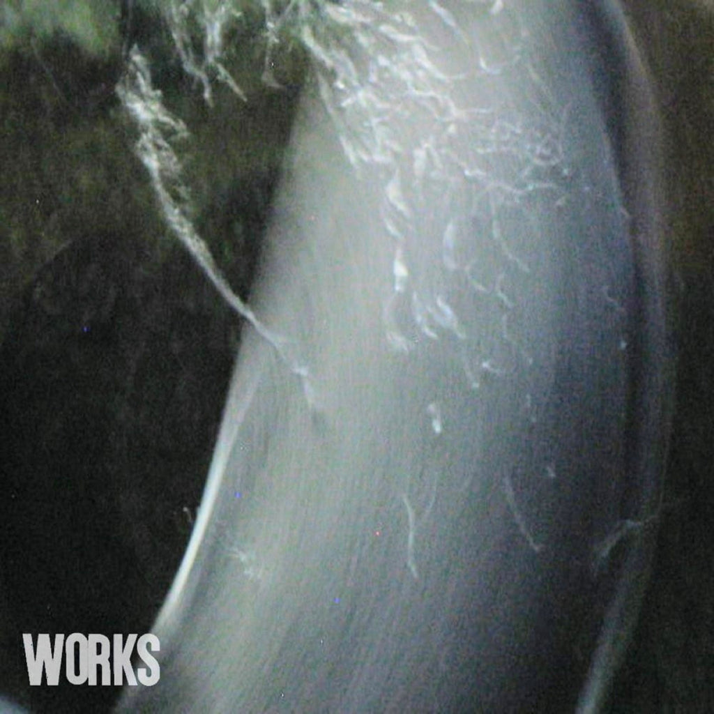 WORKS - Is there a head in there? (12"LP)