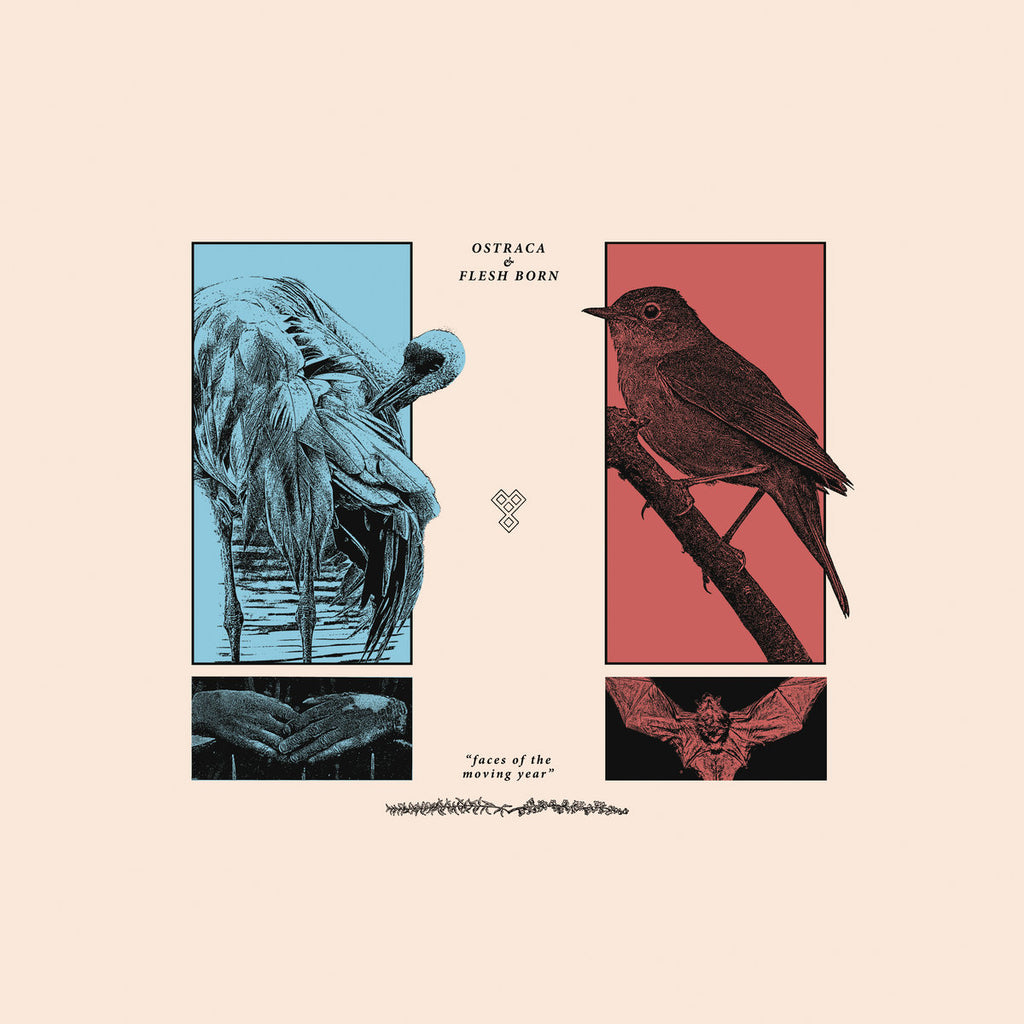 OSTRACA + FLESH BORN - Faces of the Moving Year split (12")