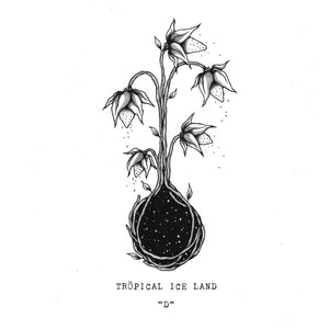 Tropical ice Land - D (12")